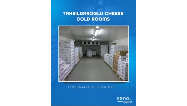 Soğuk Oda Kapıları ve Yalıtımı: Enerji Tasarrufu Sağlamanın Yolları